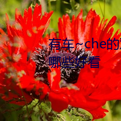 有车~che的双男主腐肉动画推荐哪些好看 （泄题）