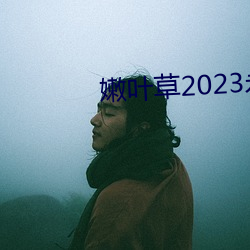 嫩(嫩)叶草(草)2023永久免费