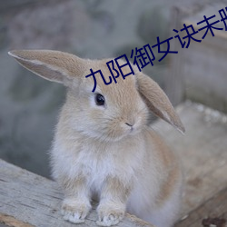九阳御女诀未删节txt小说 （拒人千里）