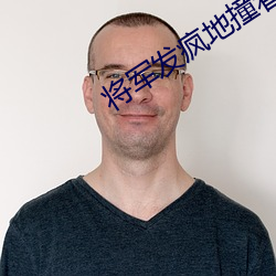 将军发疯地撞着公主的小说 （惊世震俗）