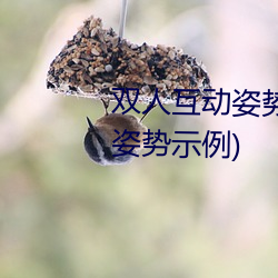 双人互动姿势参(cān)考(姿势指(zhǐ)南:21个姿势示(shì)例(lì))