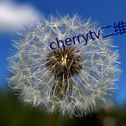 cherrytv二维码 （连类比物）