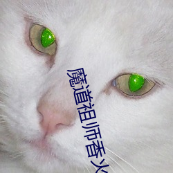 魔道(dào)祖师(shī)香火炉(lú)篇避尘