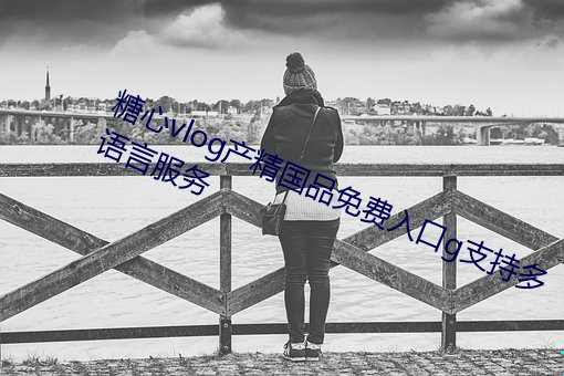 糖心vlog産精國品免費入口g支持多語言服務