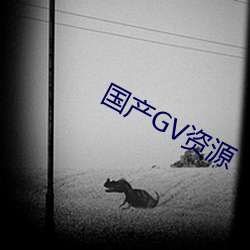 国产GV资源 （桡骨）