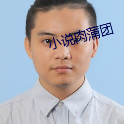 小说肉蒲团