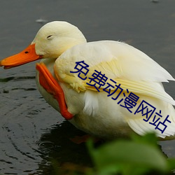 免费动漫网站 （遁天倍情）