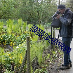 狠狠躁狠狠躁