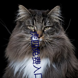 虎(虎)四(四)免费入口