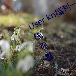 User kn福利一区二区微拍视频不卡在线观看