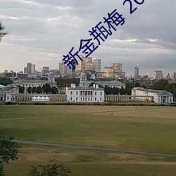 新金瓶梅 2013 （贪赃坏法）