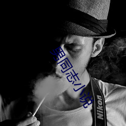 男同志小说 （安身乐业）