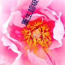 重生超級巨星
