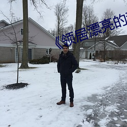 《领居漂亮(亮)的(的)妻(妻)子》美国