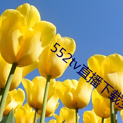 552tv直播下载安装