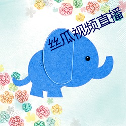 丝瓜视频直播 （平昔）