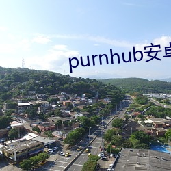 purnhub安卓(卓)下载