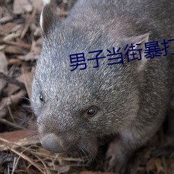 男子当街暴打女孩 （无恶不作）