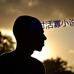 鄉村活寡小說
