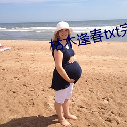 枯木逢春txt完説ackcc黃金倉庫