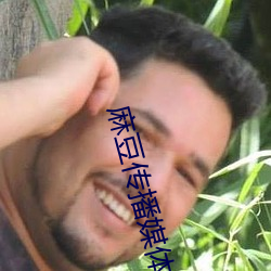 麻豆传播媒体网站 （无所不备）