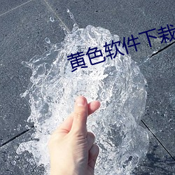 黄色软件下栽 （宏材大略）