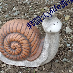 韩国skylife直播平台 （杂音）