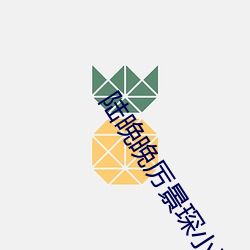 陆晚晚厉景琛小说全文免费阅读无弹窗
