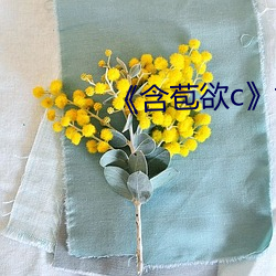 《含苞欲c》txt