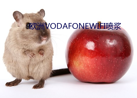 歐洲VODAFONEWIFI噴漿