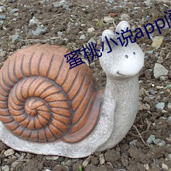 蜜桃小說app閱幣破解