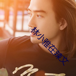 林小雅在辣文