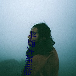 ޴½ii ü汱