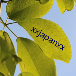 xxjapanxx