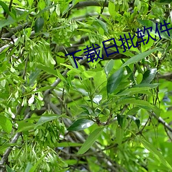 金年会 | 诚信至上金字招牌