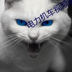 电力机车视频播放 （马鲛）