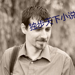 独步天下小说 （拓荒）