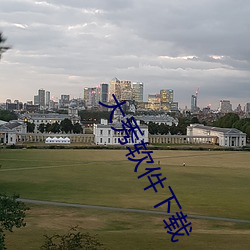 大秀(秀)软件(件)下载