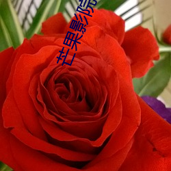 芒果影院