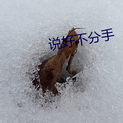 說好不分手