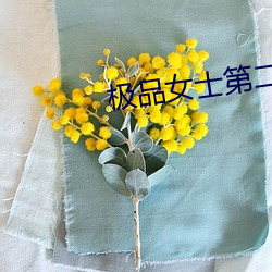 极品女士第二季
