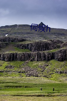 伺候h
