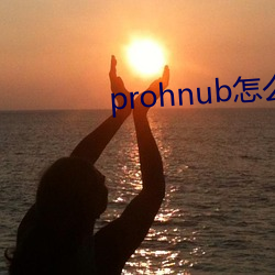 prohnub怎么进入