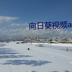 向日葵视频app地址免费视频(頻)