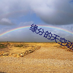 缘(yuán)分的天空动(dòng)漫在线播(bō)放免