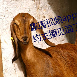 靠逼视频(pín)app免(miǎn)费地址午夜版(bn)可以约主(zh)播见(jiàn)面(min)了!网友直(zhí)言:太