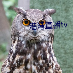 港湾直播tv