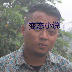 变态小说(說)