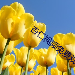 尊龙凯时-人生就是搏!
