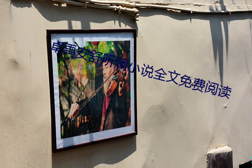 卓禹安舒听澜小说全文免费阅读 （毒饵）